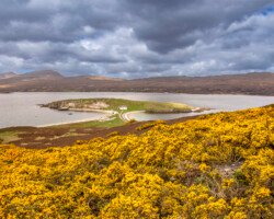 Quand la nature n'a pas besoin de compas