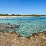 Cala d'en Bosc