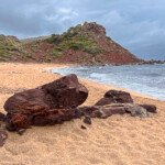 Cala Pilar , la plage sauvage du Nord