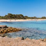 Cala d'en Bosc