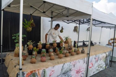 Le marché de Teguise
